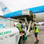 El Gobierno avanza con la privatización de Intercargo y prepara la licitación del 100% de sus acciones