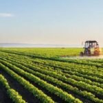 La actividad agropecuaria creció 12% en julio impulsada por una cosecha récord