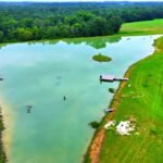 Transformación de un campo en lago artificial atrae fauna diversa en Alabama