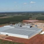 El aserradero más moderno del país advierte por los costos que amenazan a la forestoindustria