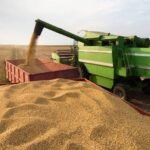 Retenciones al campo: un economista cuestionó su impacto y planteó alternativas para la recaudación