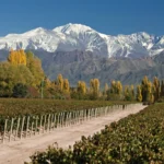 La inesperada llegada del Niño trae nieve en primavera y una nueva pista de trineos en Mendoza